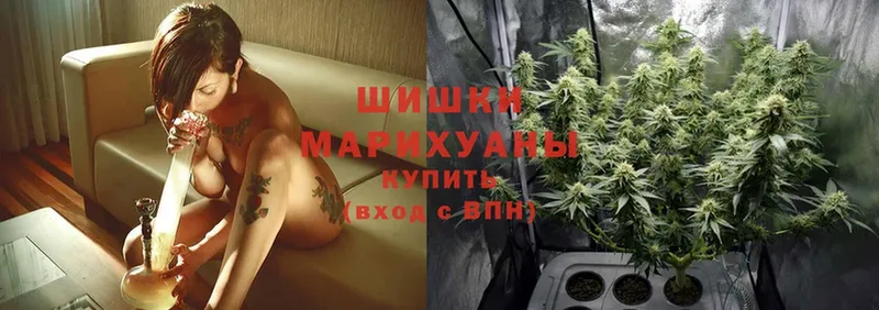 Шишки марихуана SATIVA & INDICA  Истра 